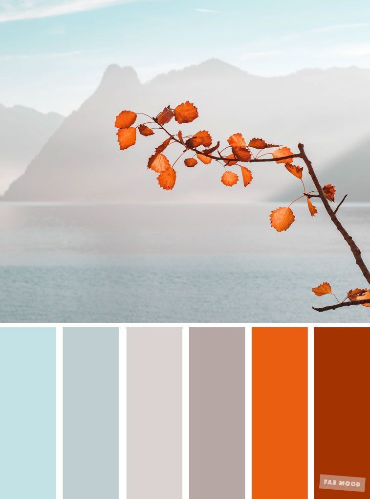 Color palette with blue and orange